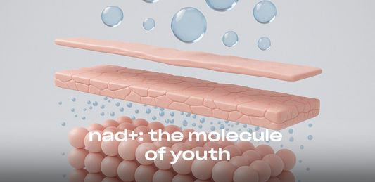 NAD+ for skin health – unlocking the power of topically bioavailable NAD+ precursors