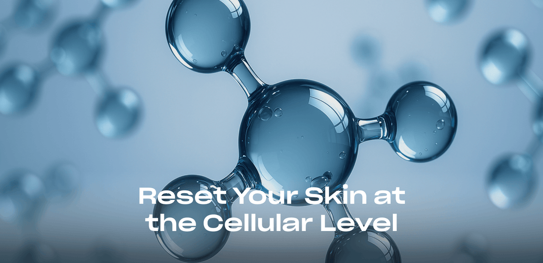 From Science to Skincare: Spermidine's Role in Anti-Aging