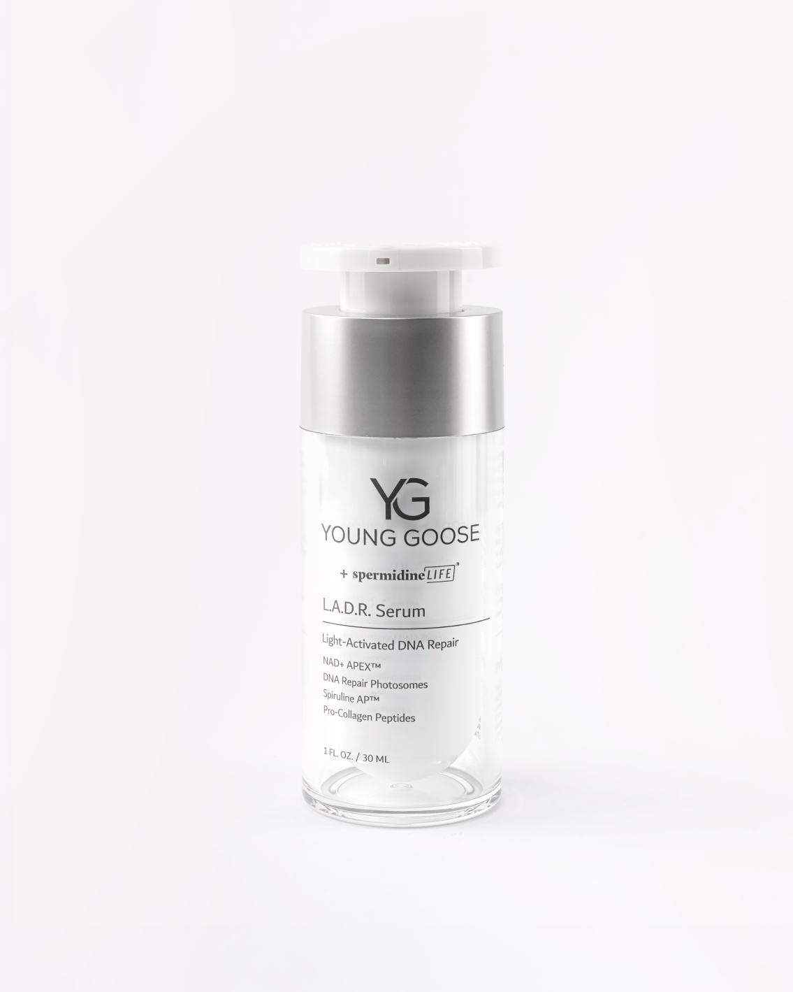 L.A.D.R. – Young Goose for Professionals